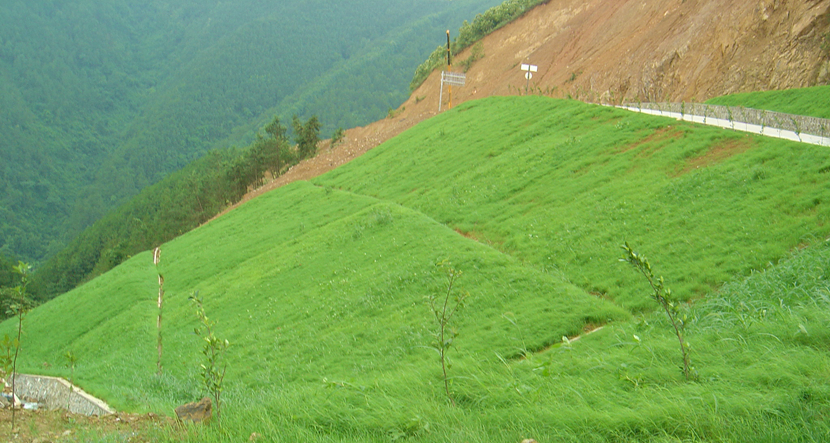 广东·乐昌峡水利枢纽发电厂及引水工程