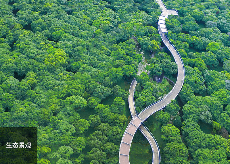 生态景观代表图片