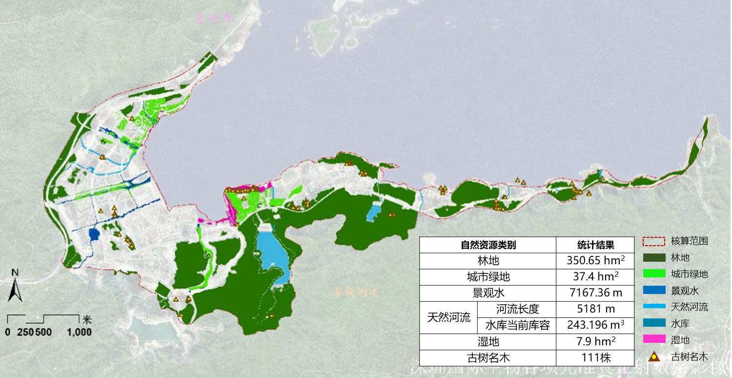 广东·深圳 大鹏新区国际生物谷坝光核心启动区生态系统修复提升策略研究